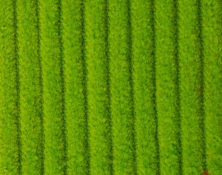 corduroy lime groen